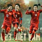 Đội tuyển Việt Nam vô địch