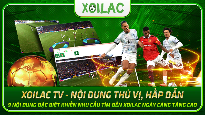 Trải nghiệm xem trực tiếp bóng đá sống động cùng Xoilac TV